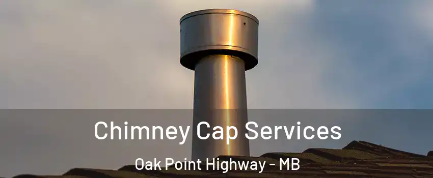  Chimney Cap Services Oak Point Highway - MB