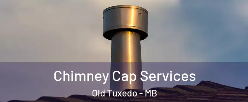  Chimney Cap Services Old Tuxedo - MB