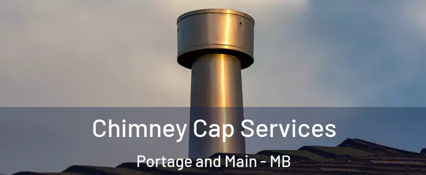  Chimney Cap Services Portage and Main - MB