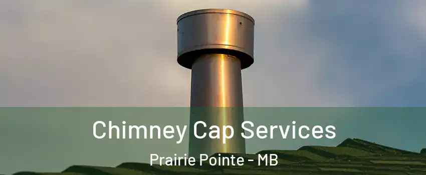  Chimney Cap Services Prairie Pointe - MB