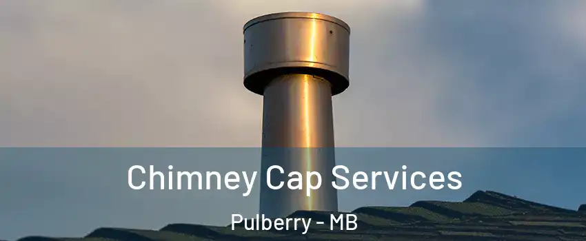  Chimney Cap Services Pulberry - MB
