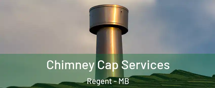  Chimney Cap Services Regent - MB