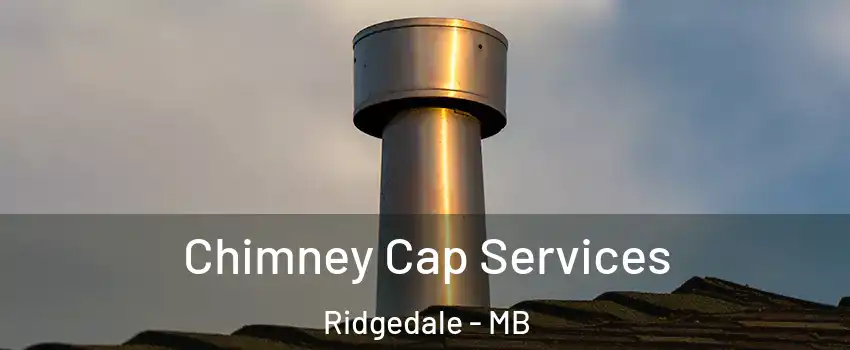  Chimney Cap Services Ridgedale - MB