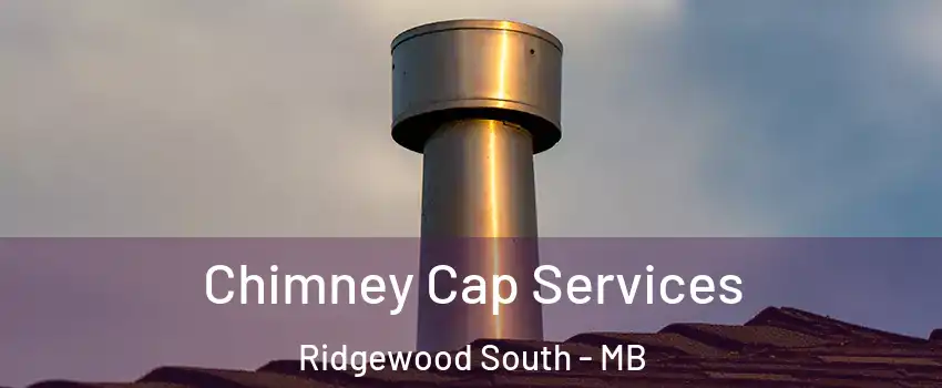  Chimney Cap Services Ridgewood South - MB