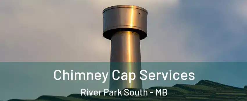  Chimney Cap Services River Park South - MB