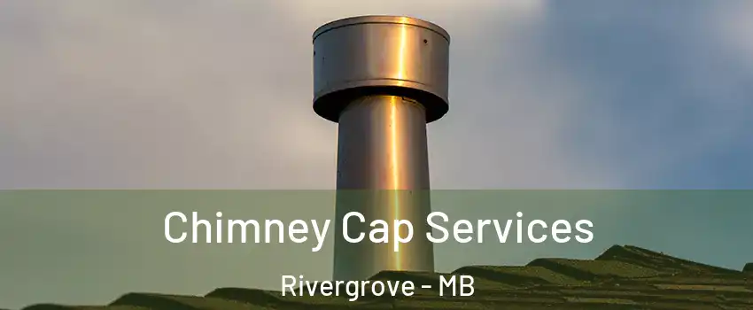  Chimney Cap Services Rivergrove - MB