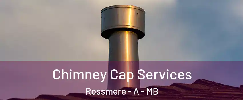  Chimney Cap Services Rossmere - A - MB