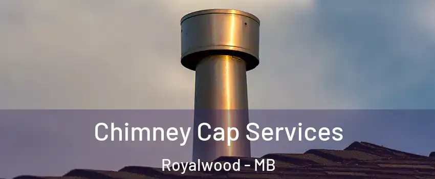 Chimney Cap Services Royalwood - MB