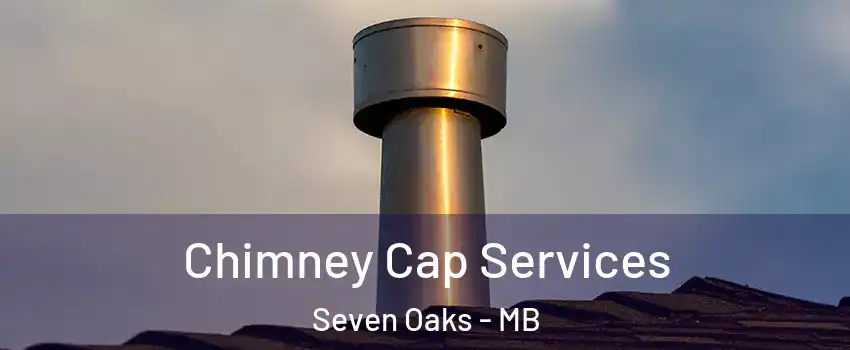  Chimney Cap Services Seven Oaks - MB