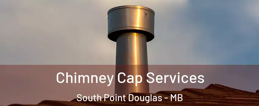  Chimney Cap Services South Point Douglas - MB