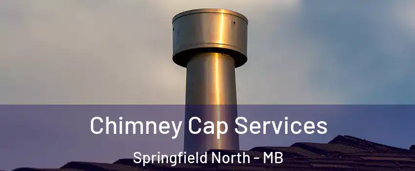  Chimney Cap Services Springfield North - MB
