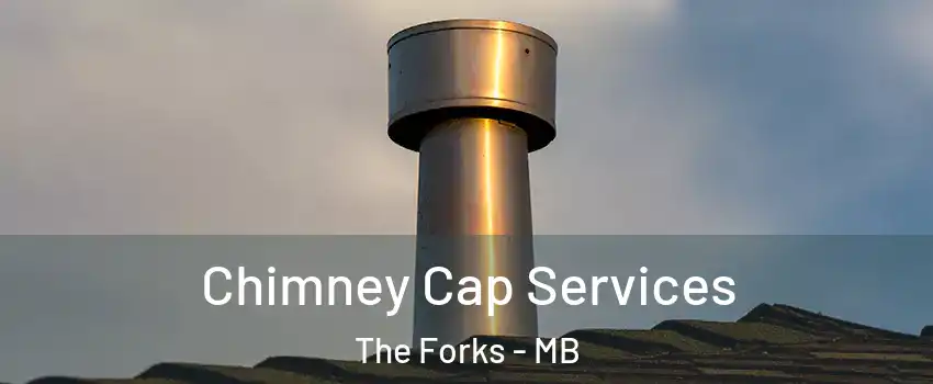  Chimney Cap Services The Forks - MB