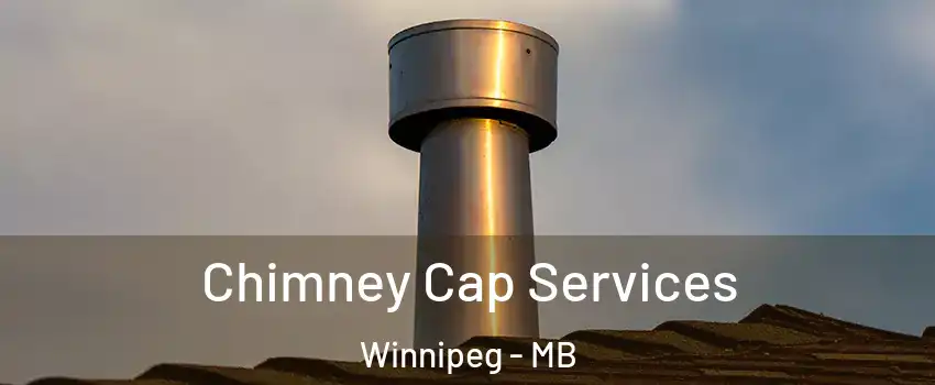  Chimney Cap Services Winnipeg - MB