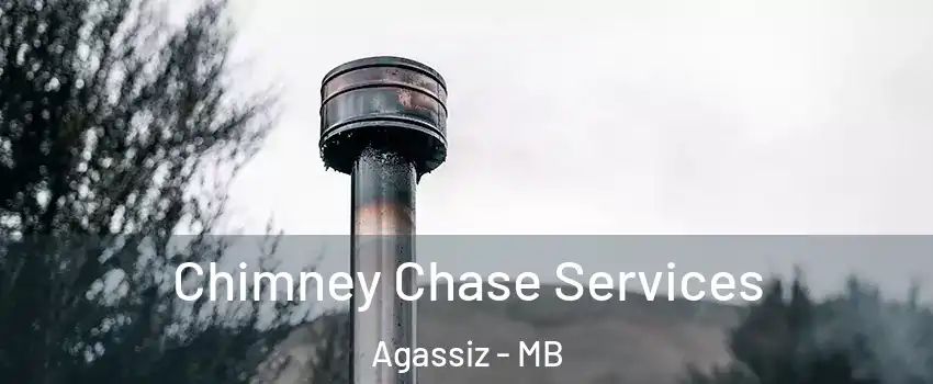  Chimney Chase Services Agassiz - MB