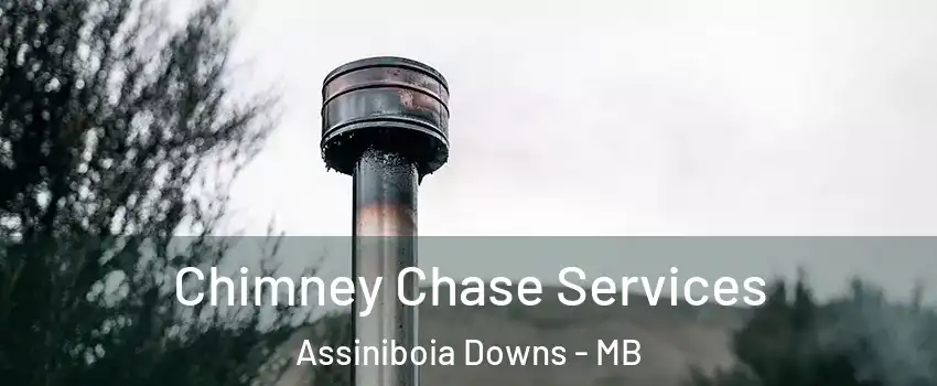  Chimney Chase Services Assiniboia Downs - MB