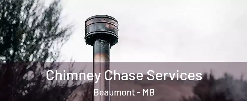  Chimney Chase Services Beaumont - MB