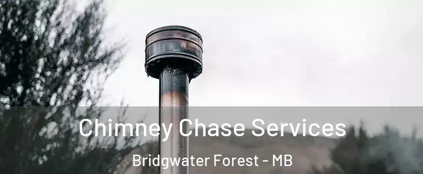  Chimney Chase Services Bridgwater Forest - MB