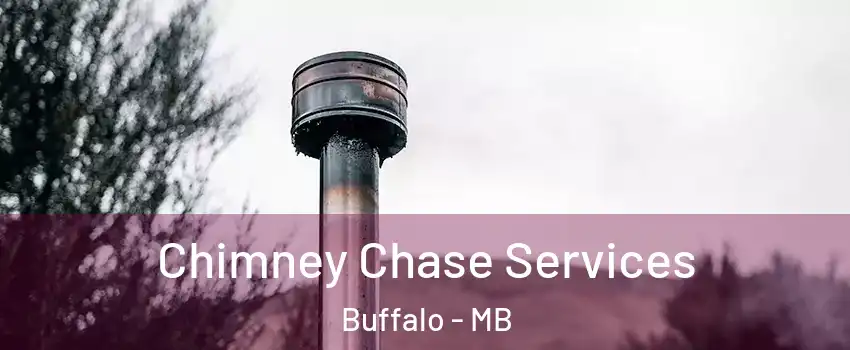 Chimney Chase Services Buffalo - MB