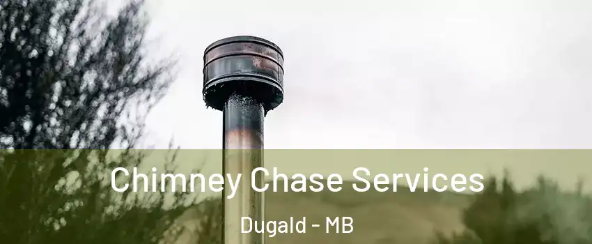  Chimney Chase Services Dugald - MB