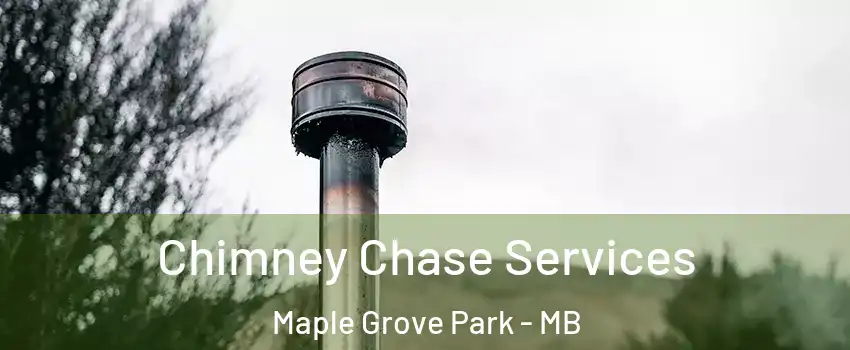  Chimney Chase Services Maple Grove Park - MB