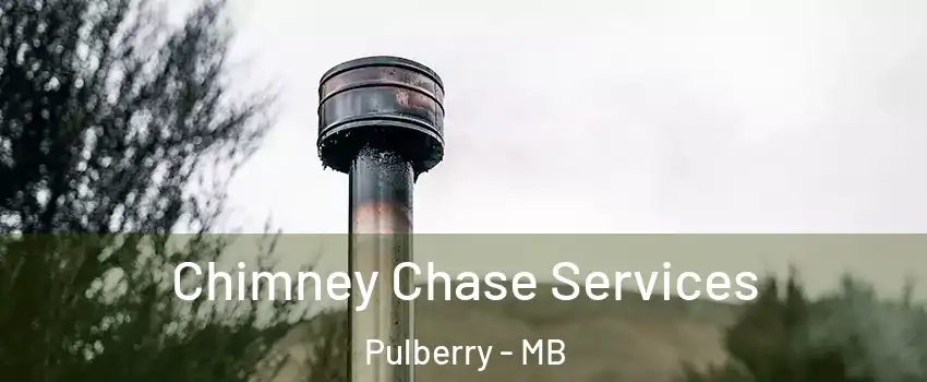  Chimney Chase Services Pulberry - MB