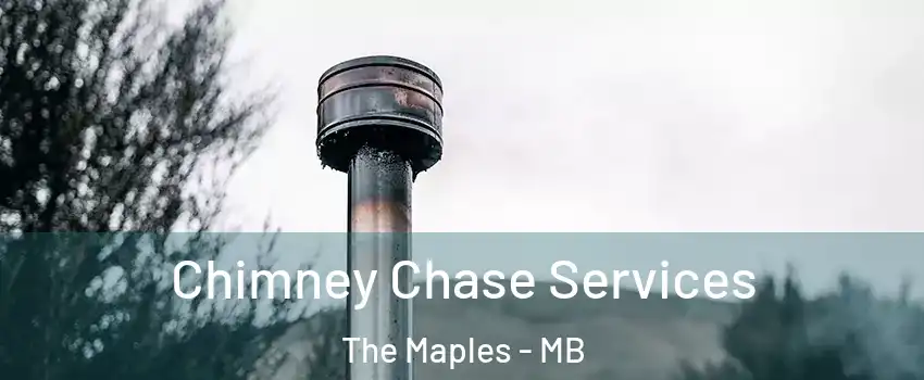 Chimney Chase Services The Maples - MB