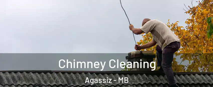  Chimney Cleaning Agassiz - MB