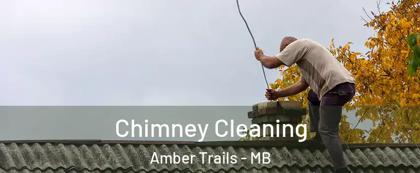  Chimney Cleaning Amber Trails - MB