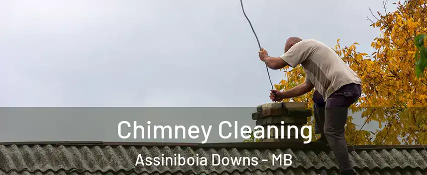  Chimney Cleaning Assiniboia Downs - MB