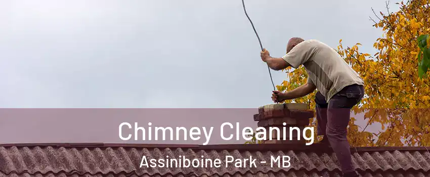  Chimney Cleaning Assiniboine Park - MB