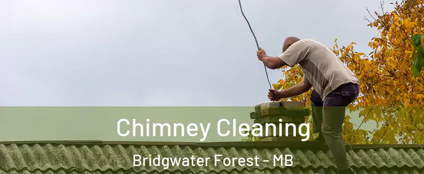  Chimney Cleaning Bridgwater Forest - MB