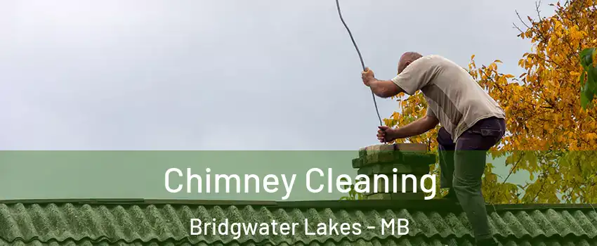  Chimney Cleaning Bridgwater Lakes - MB