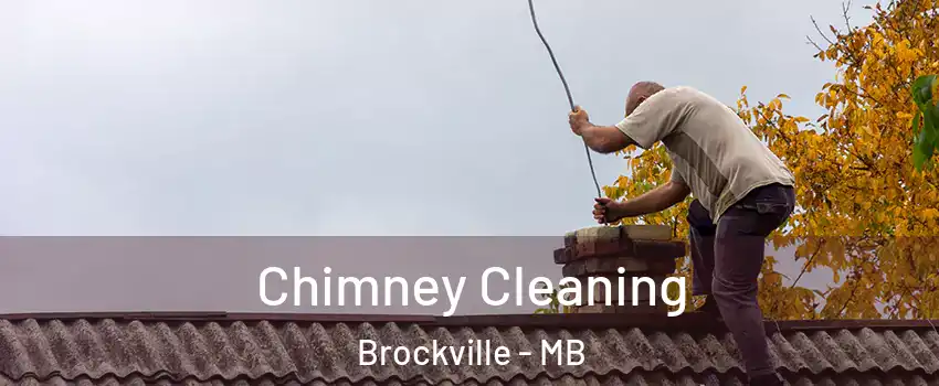  Chimney Cleaning Brockville - MB