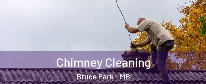  Chimney Cleaning Bruce Park - MB