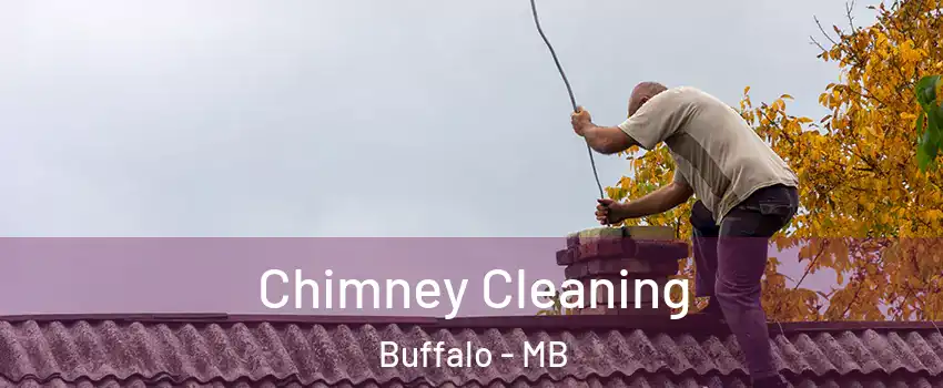  Chimney Cleaning Buffalo - MB