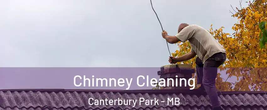  Chimney Cleaning Canterbury Park - MB