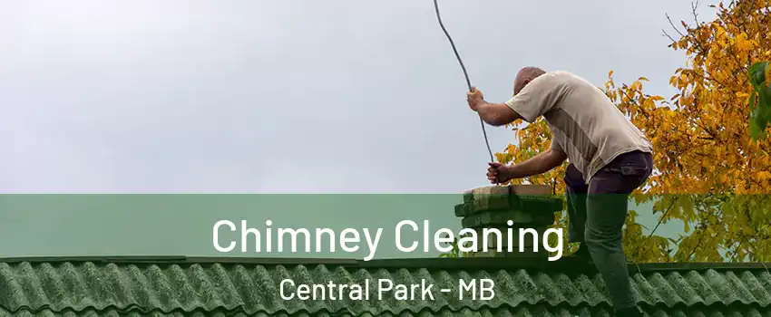  Chimney Cleaning Central Park - MB