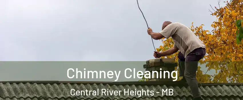  Chimney Cleaning Central River Heights - MB