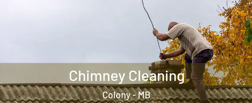  Chimney Cleaning Colony - MB