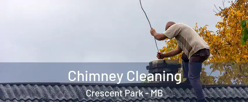  Chimney Cleaning Crescent Park - MB