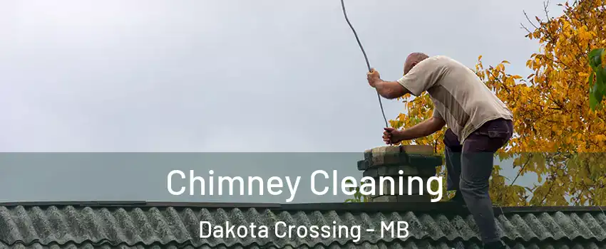  Chimney Cleaning Dakota Crossing - MB