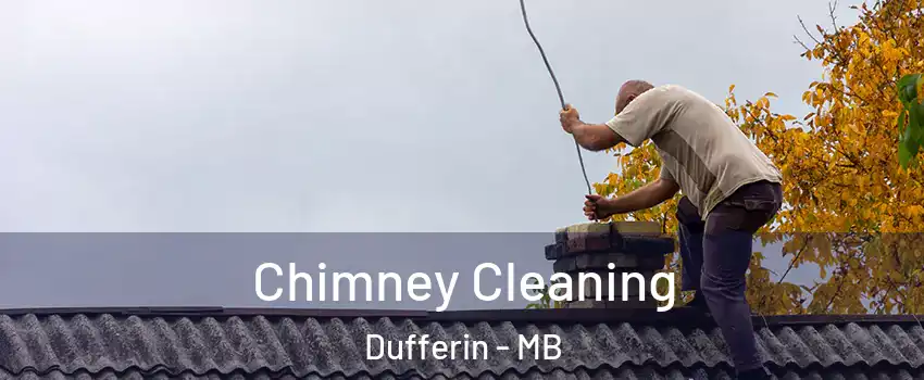  Chimney Cleaning Dufferin - MB