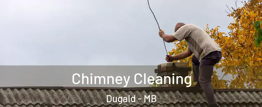  Chimney Cleaning Dugald - MB