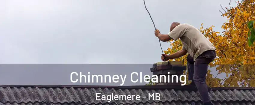  Chimney Cleaning Eaglemere - MB