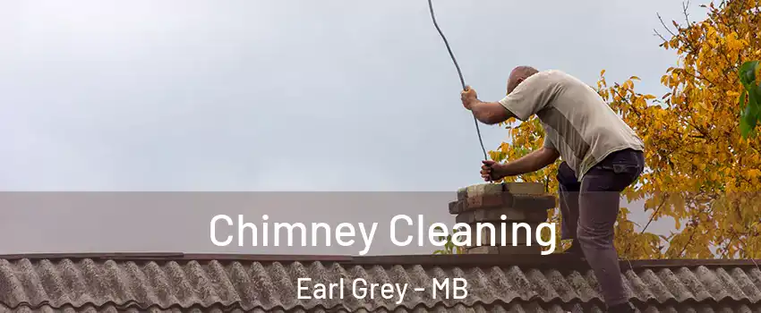  Chimney Cleaning Earl Grey - MB