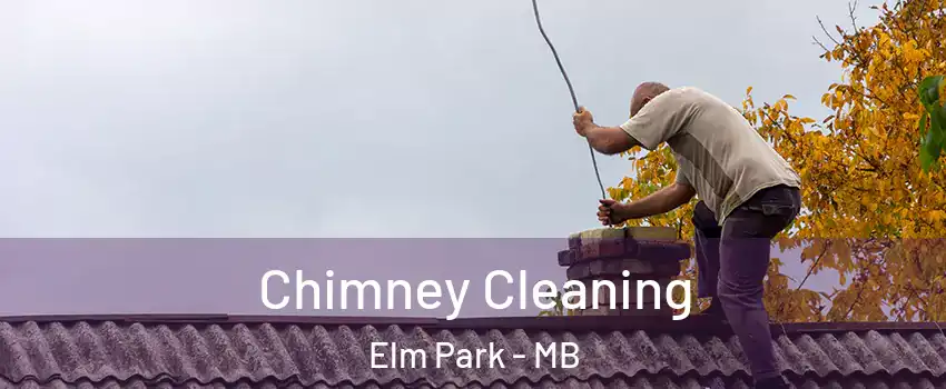  Chimney Cleaning Elm Park - MB