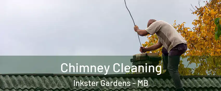  Chimney Cleaning Inkster Gardens - MB