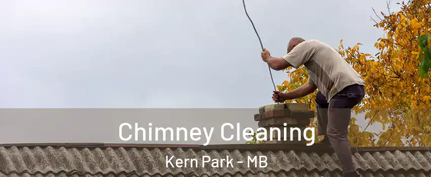  Chimney Cleaning Kern Park - MB