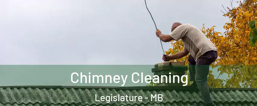  Chimney Cleaning Legislature - MB