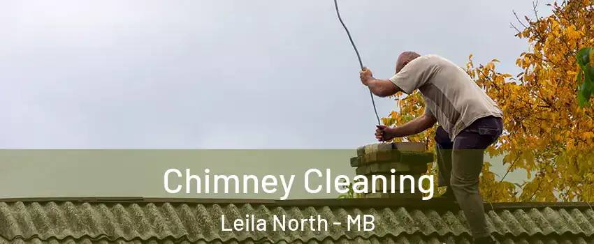  Chimney Cleaning Leila North - MB